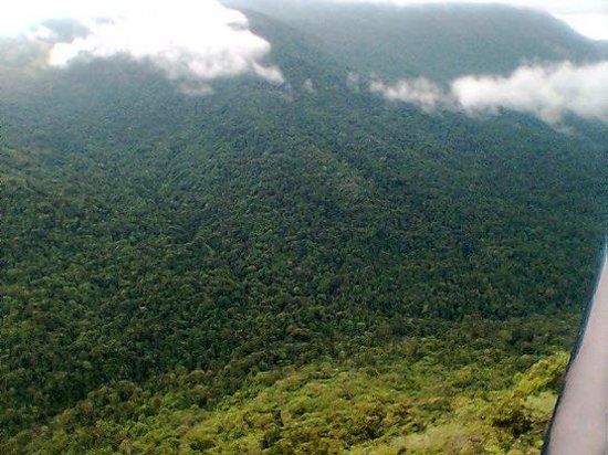 Bisle Ghat View Point